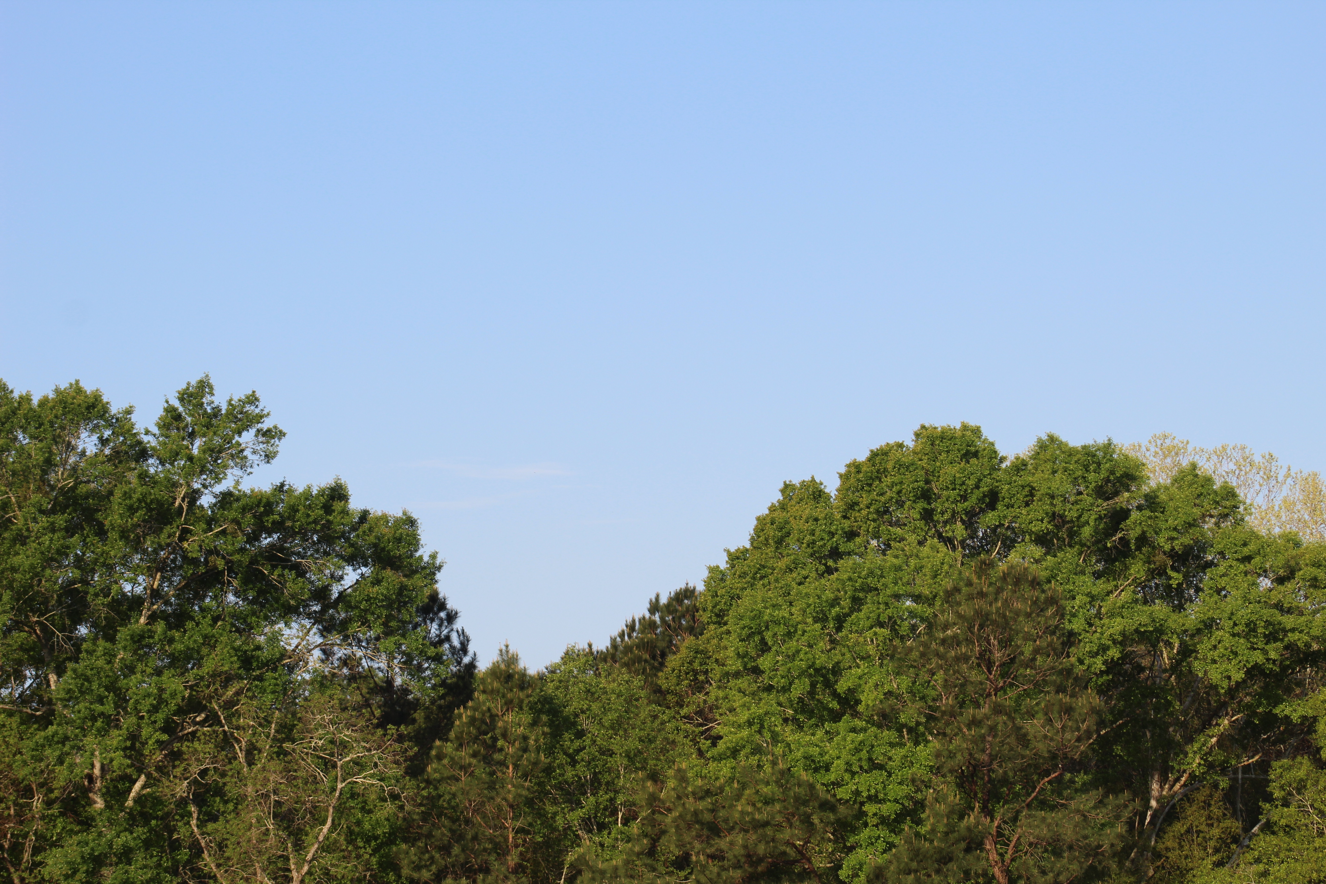 Image 14