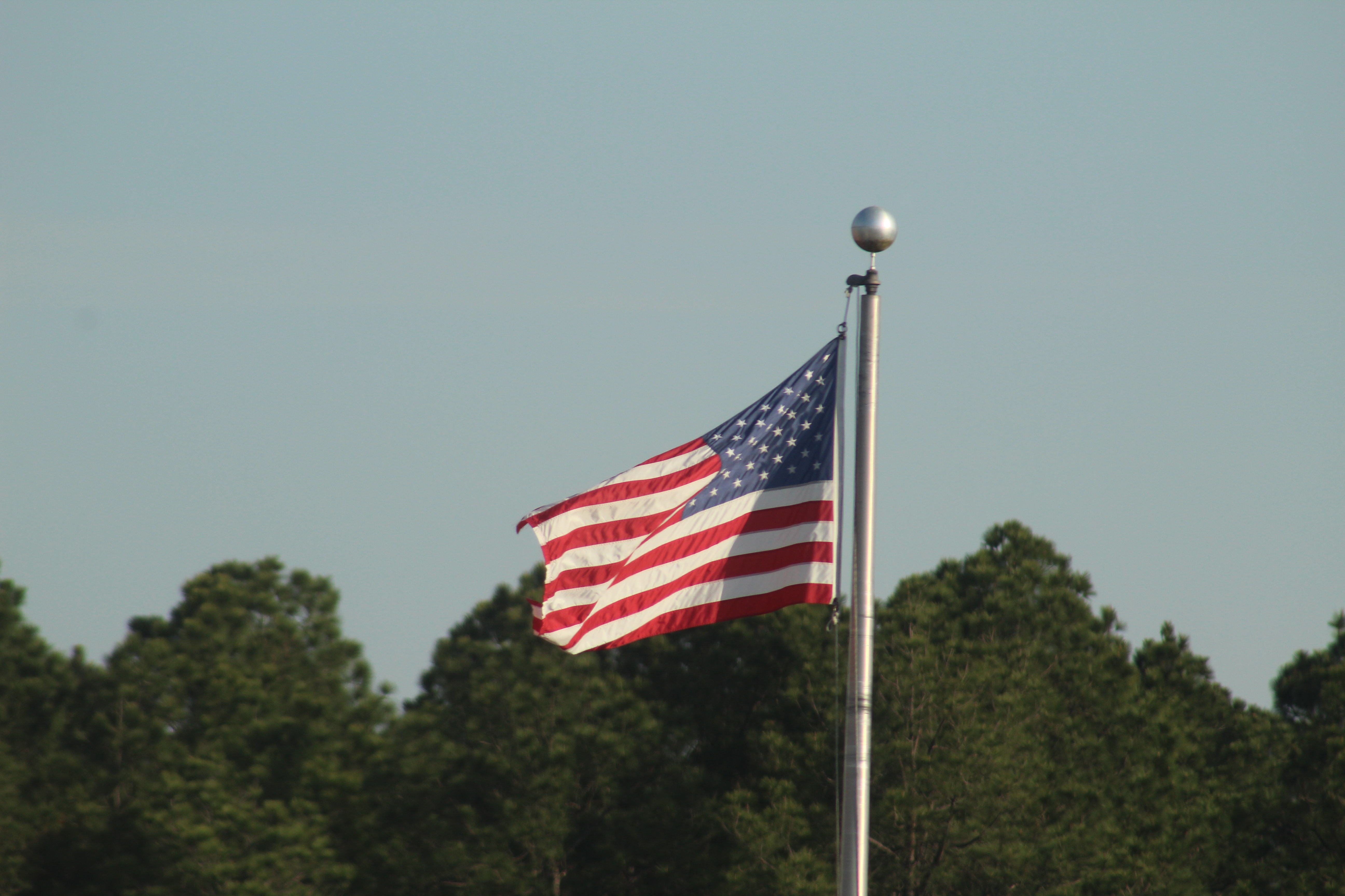 Image 30